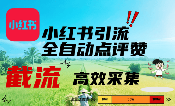 小红书AI综合工具演示视频